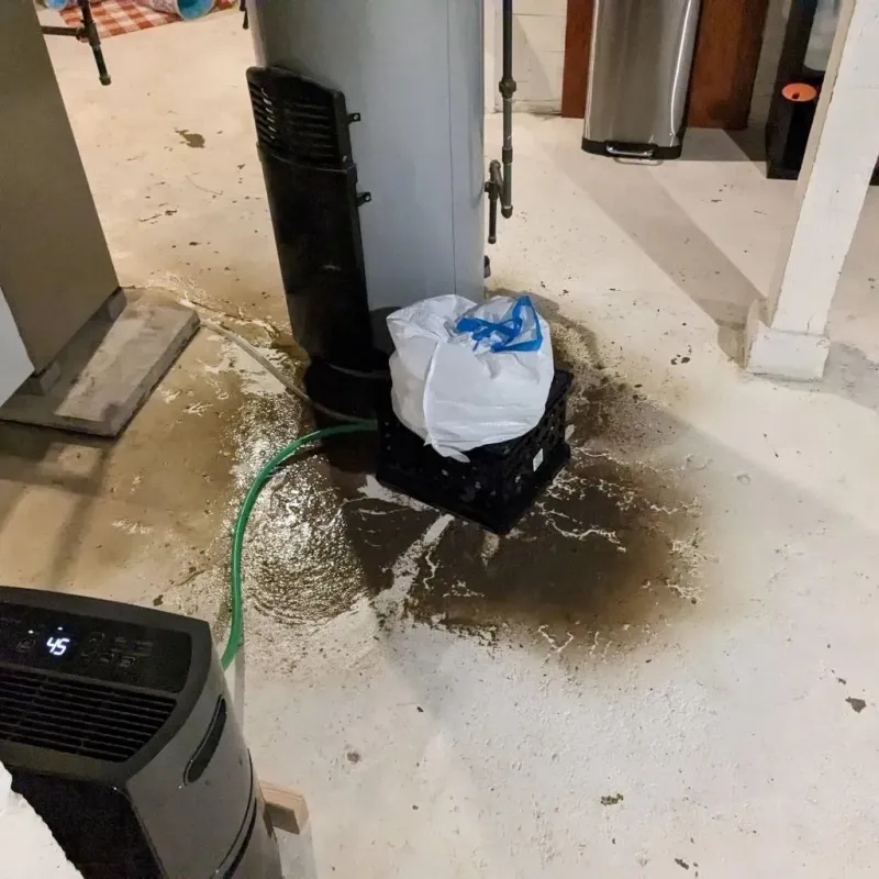 Sewage Backup Cleanup Service in Sabine Parish, LA